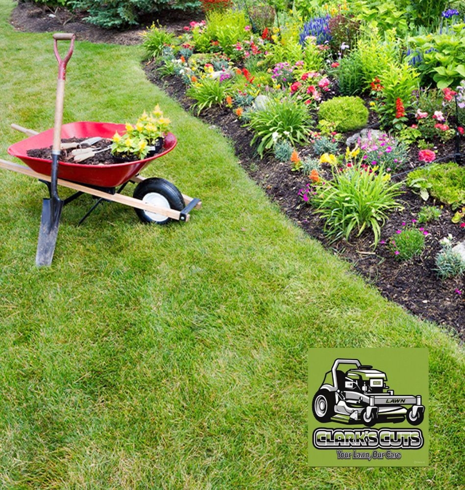 All Photos for Clark's Cuts Lawn Care in Lilburn, GA
