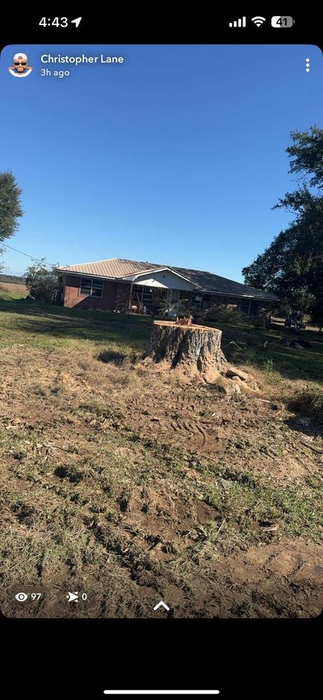 All Photos for Morace Tree Service in Natchez,,  MS
