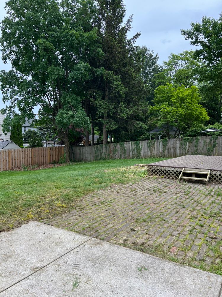 All Photos for Down To Earth Tree Service, LLC in Olmsted Falls, OH