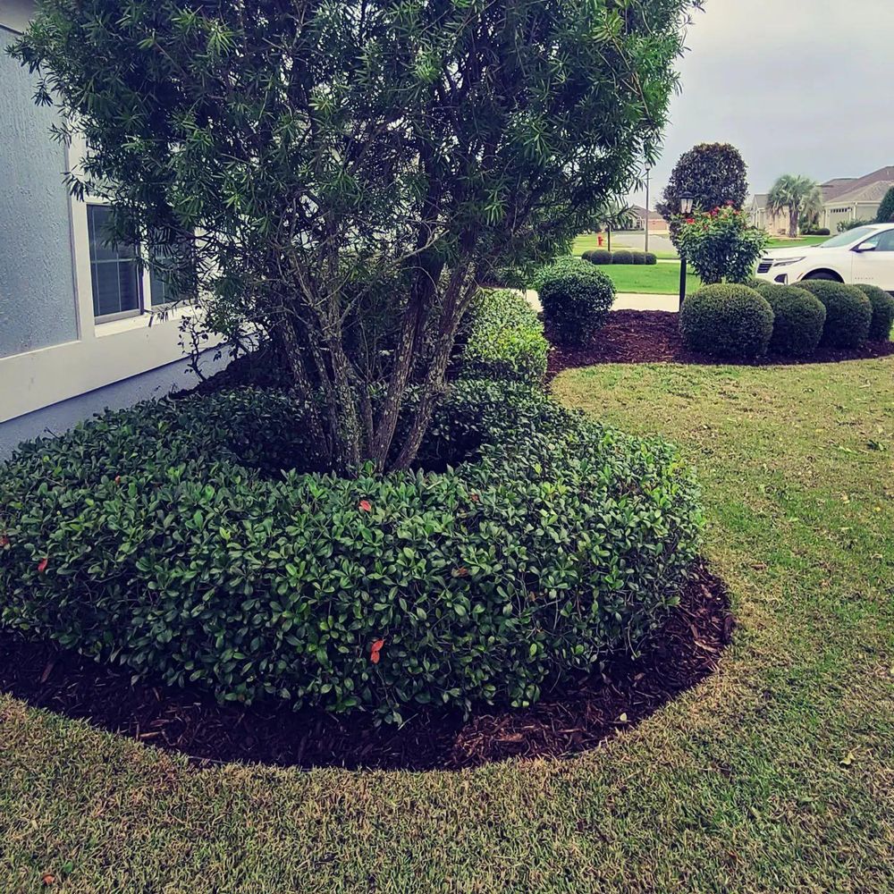 All Photos for TopNotch Landscaping Services  in The Villages, FL