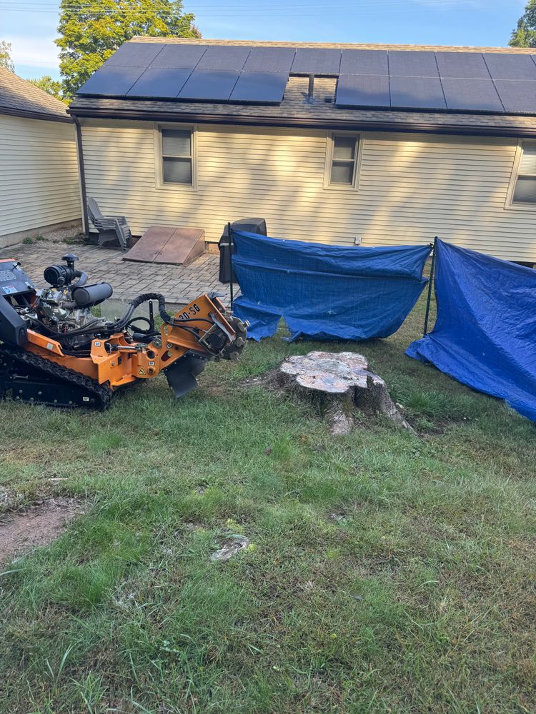 Stump Removal for Jills Stump Grinding and Firewood in Shelton, CT