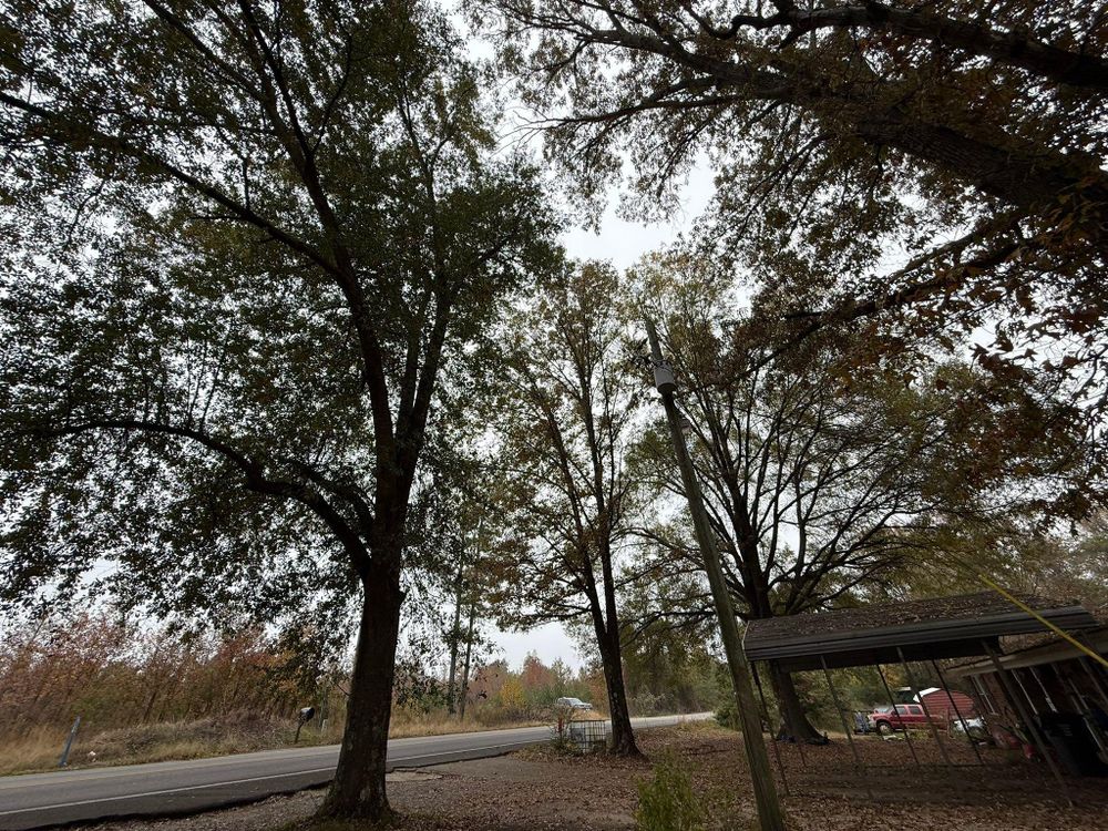 All Photos for Mud Creek Vegetation Management in Russellville, AL