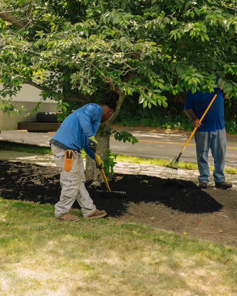 All Photos for Pungitore Landscapes, Irrigation & Fertilizer in Hingham, MA