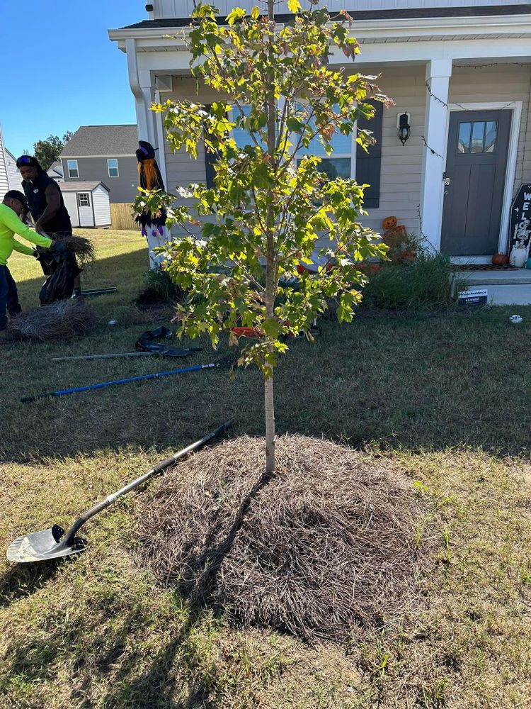 All Photos for Cutting Edge Lawn Care in Fayetteville, NC