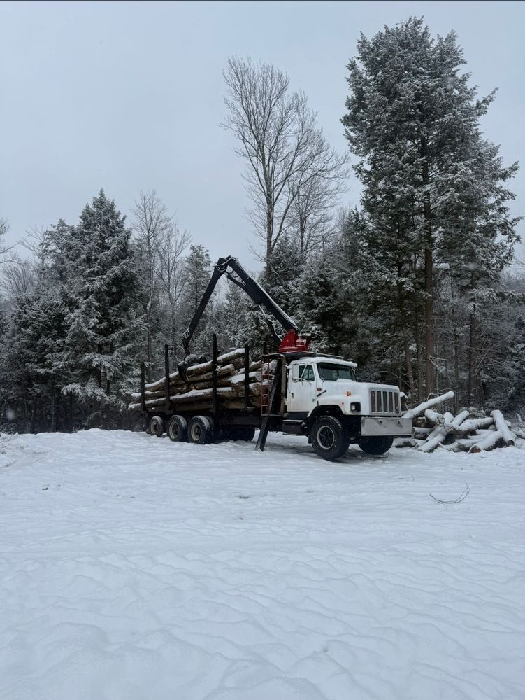 Timber Sales for Lovenguth Logging and Tree Service in West Monroe, NY