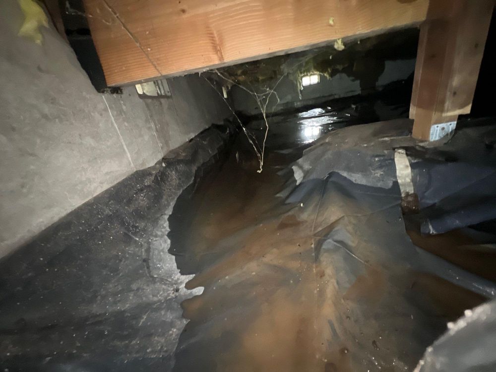 All Photos for No Fear Restoration in Port Angeles, WA