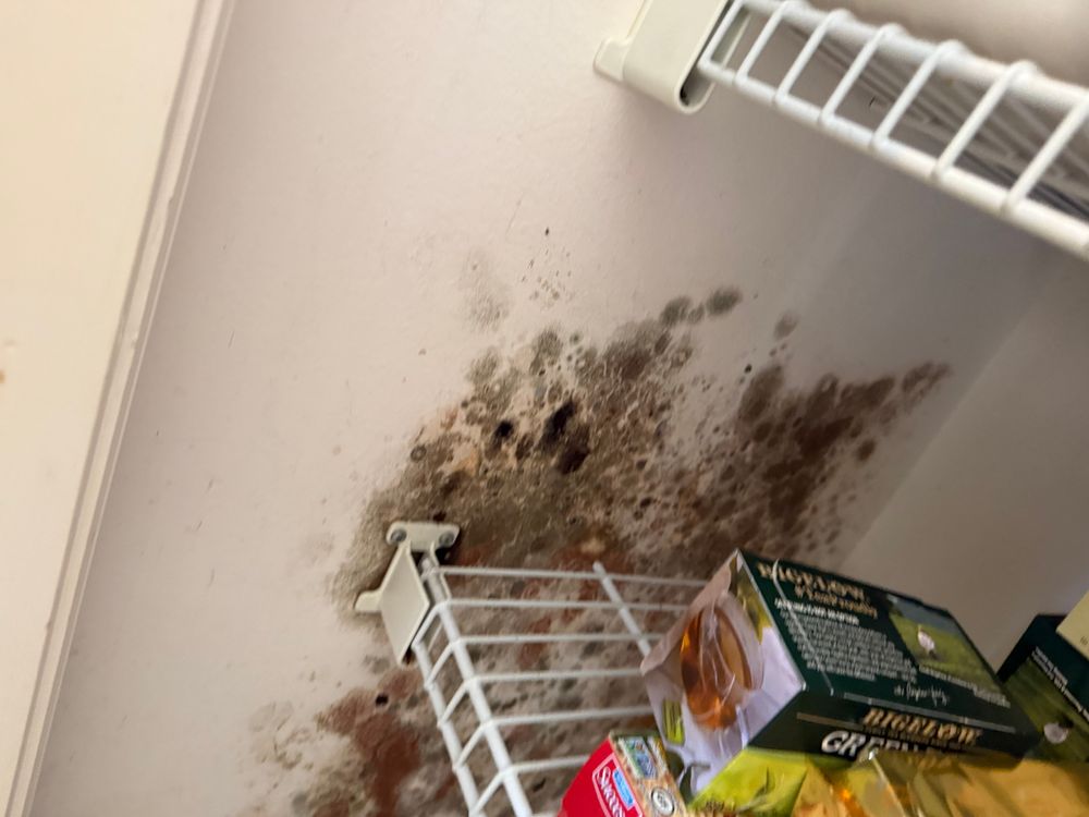 All Photos for Titan Remediation Industries in West Palm Beach, FL