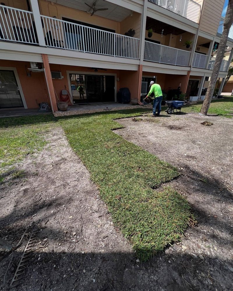 All Photos for AGT Landscape & Design LLC. in Saint Petersburg, FL