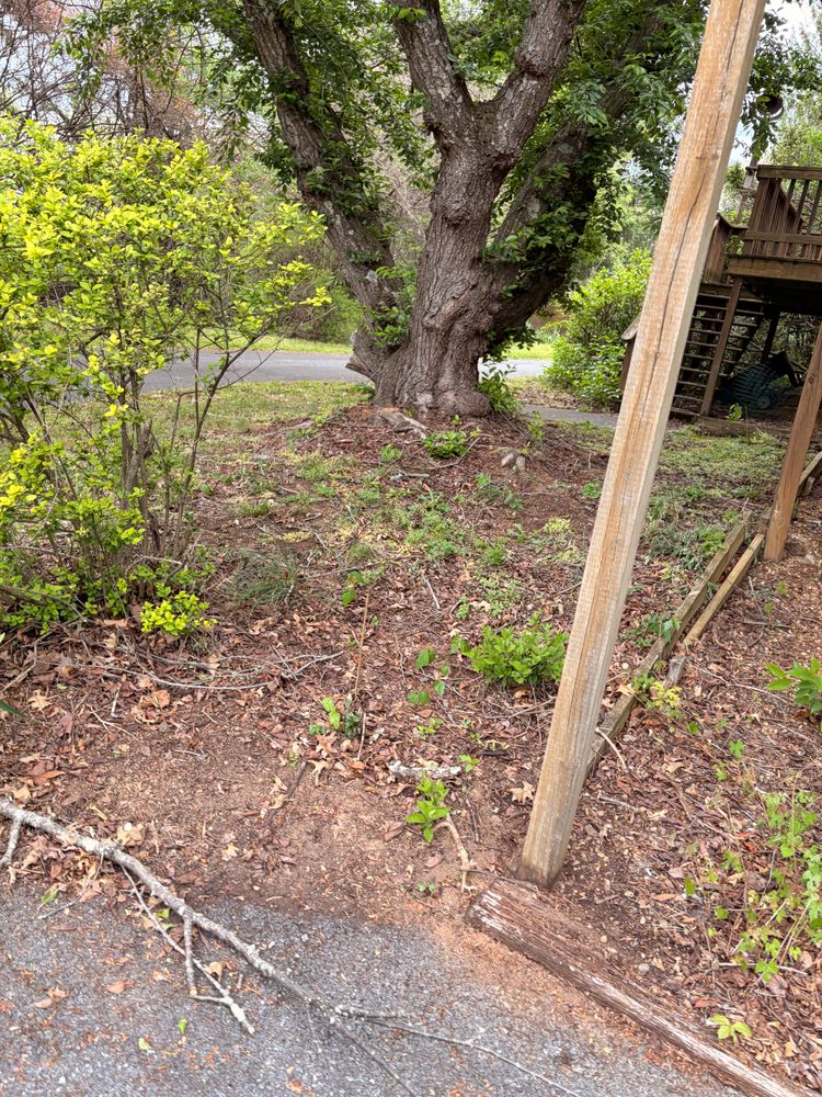 All Photos for Valencia’s Lawncare in Charlottesville, VA