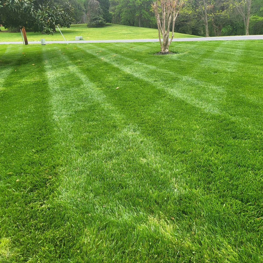 Our Lawn Maintenance service ensures a pristine, healthy landscape with regular mowing, fertilization, and weed control, enhancing curb appeal while saving you time and effort in maintaining your outdoor space. for Sam I AM Property Solutions in Sunderland, MD