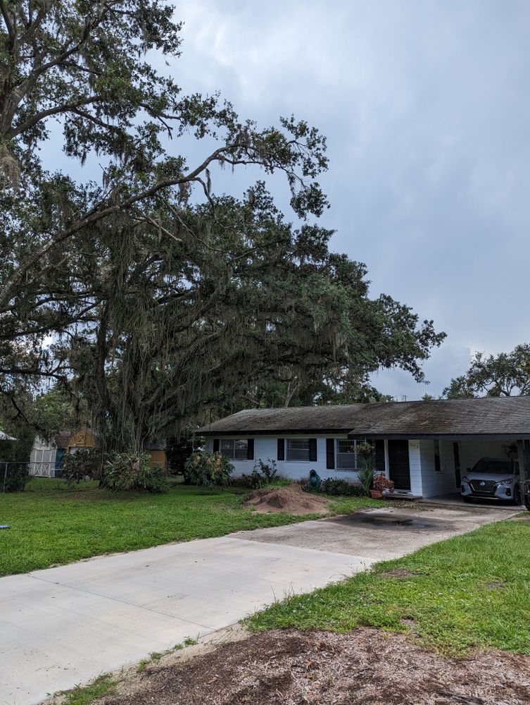 All Photos for Regal Tree Service and Stump Grinding in Wauchula, FL