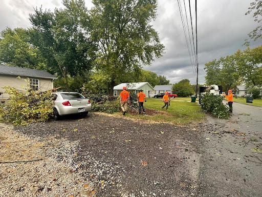 All Photos for Ross Family Tree Service LLC  in Hohenwald, TN