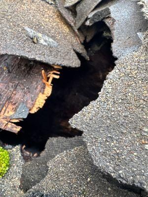 All Photos for 2 Brothers Contracting LLC in Vancouver, WA