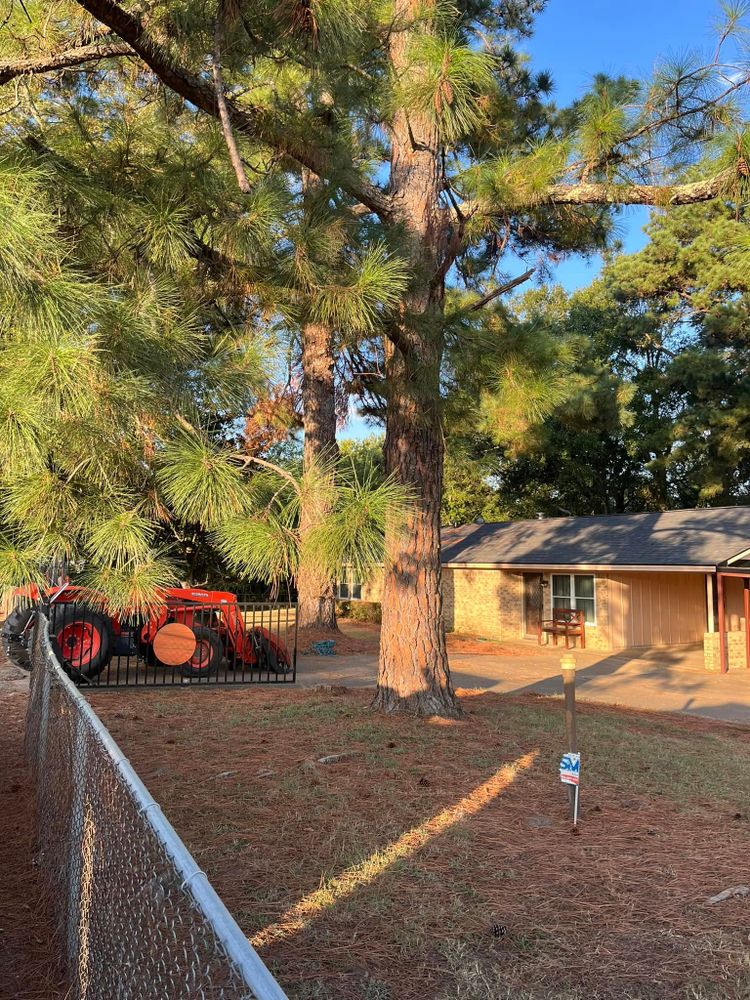 All Photos for JC Land and Tree Service in Kilgore, TX