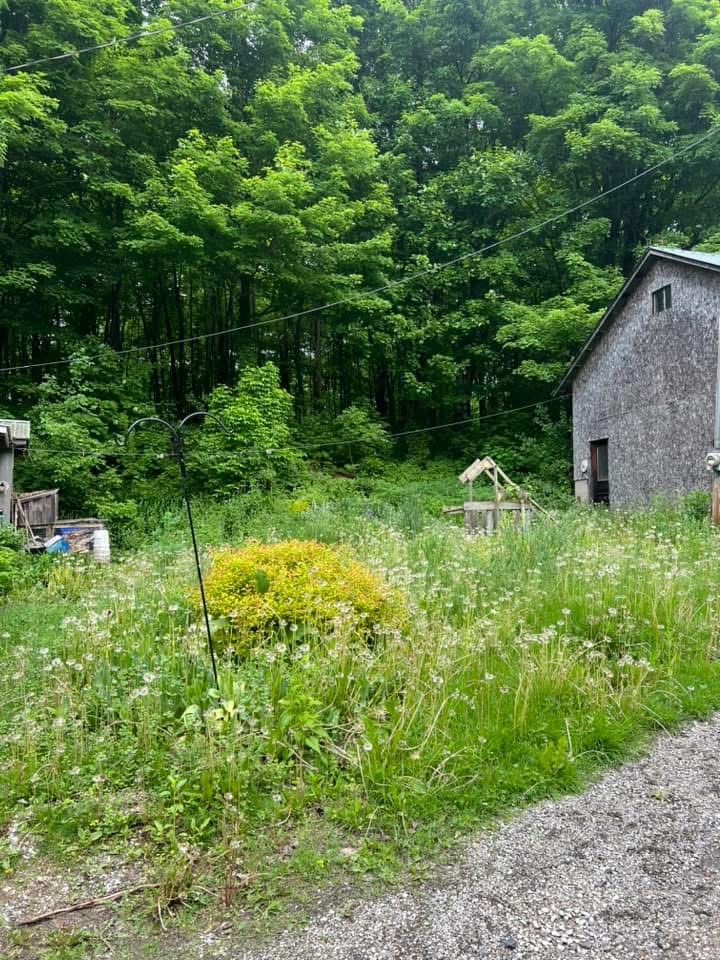 All Photos for Bishop’s Property Maintenance in Franklin, VT