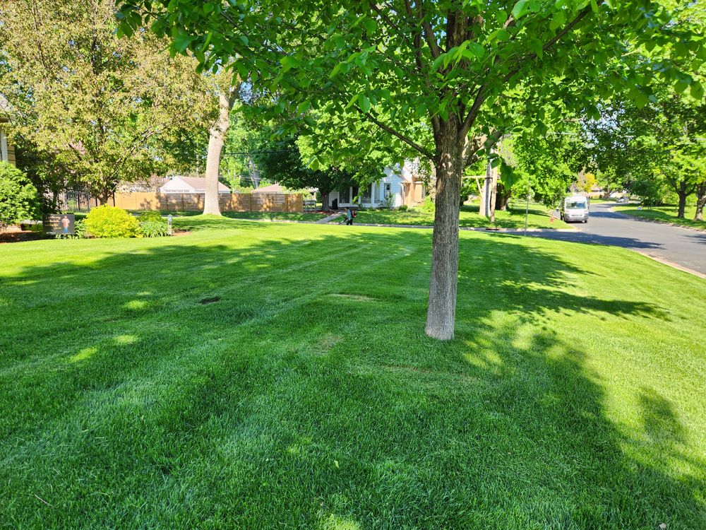 Mowing  for K & I Lawn Care Service  in Eden Prarie, MN