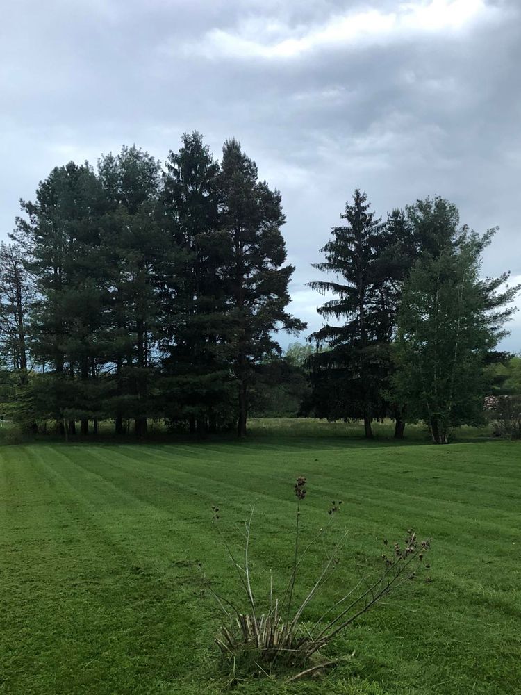 All Photos for Wilt Landscaping in Greenville, PA