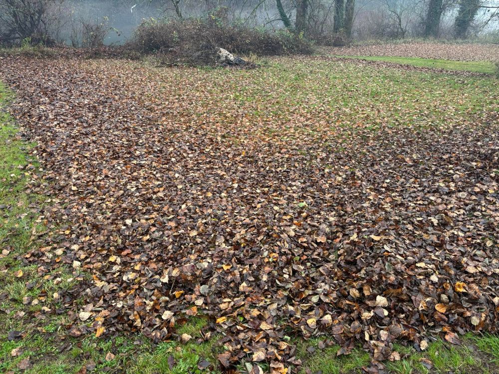 All Photos for Ring Property Maintenance in Willamina, OR