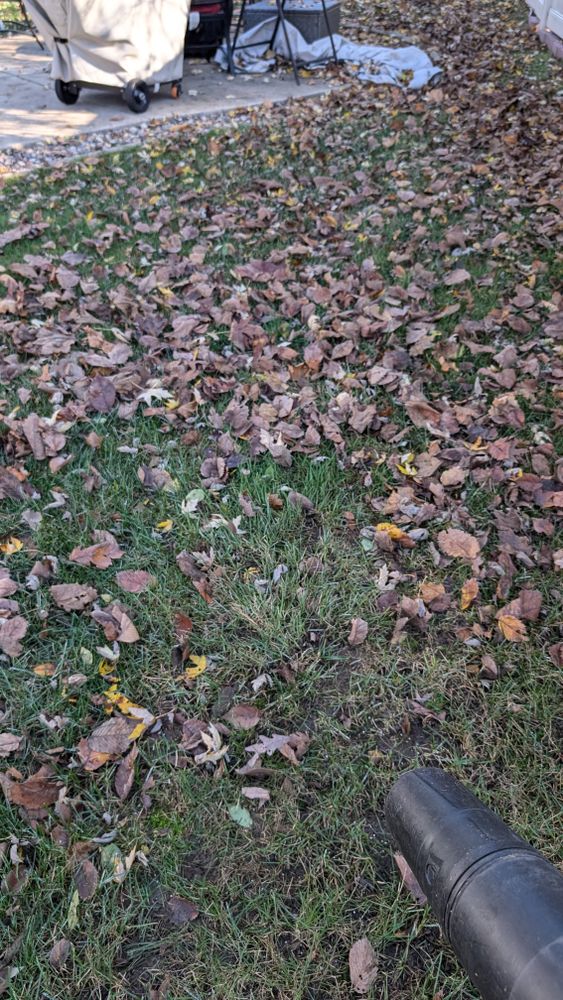 All Photos for TCB Lawn Care & Snow Removal in Sun Prairie, WI