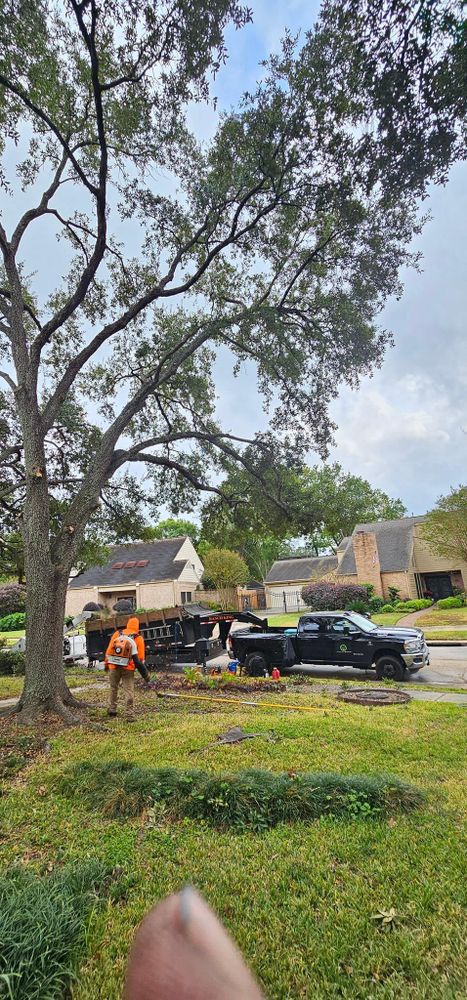 All Photos for Servin's Tree Care  in Houston, TX