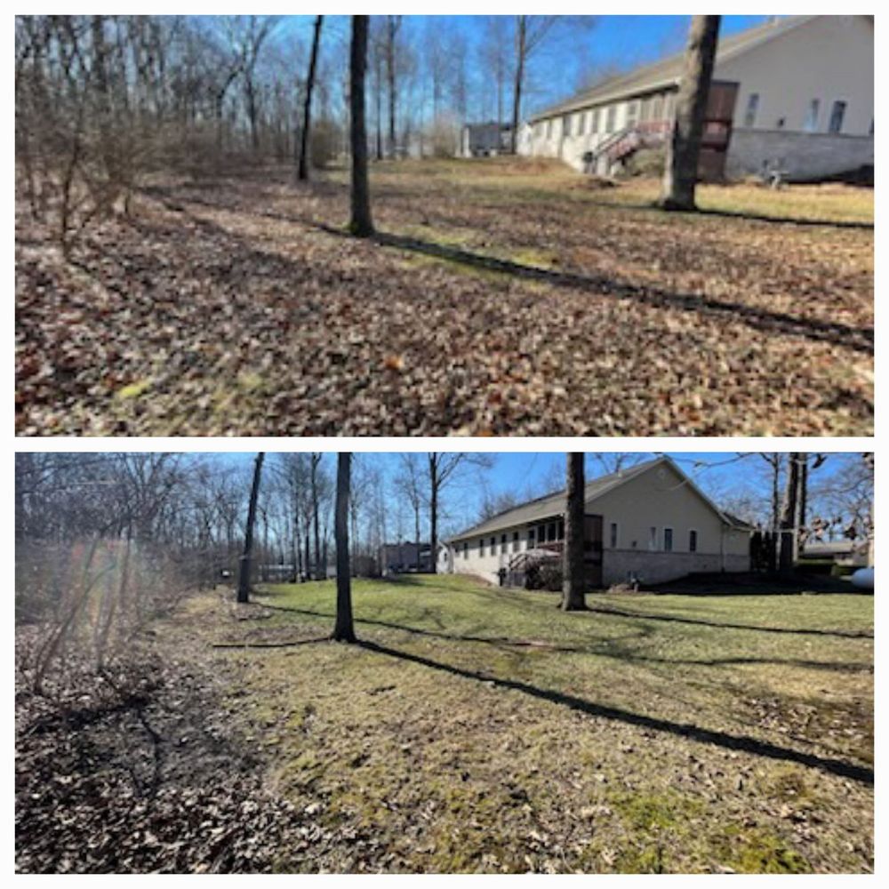 Fall & Spring cleanup for Andrew's Lawn Service LLC in Lebanon, IL