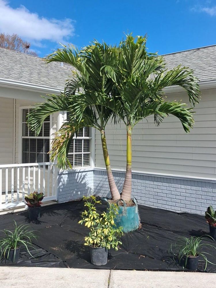 All Photos for Space Coast Property Maintenance and Management LLC in Melbourne, FL