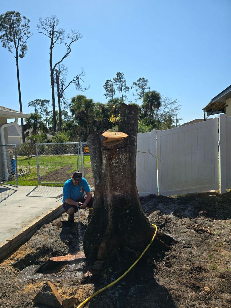 All Photos for Nick of Time Tree Service in North Port, FL