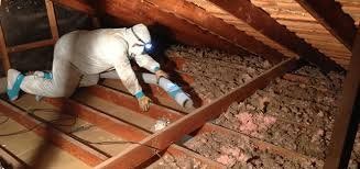 Texas Eco Attic Solutions team in Dallas, TX - people or person