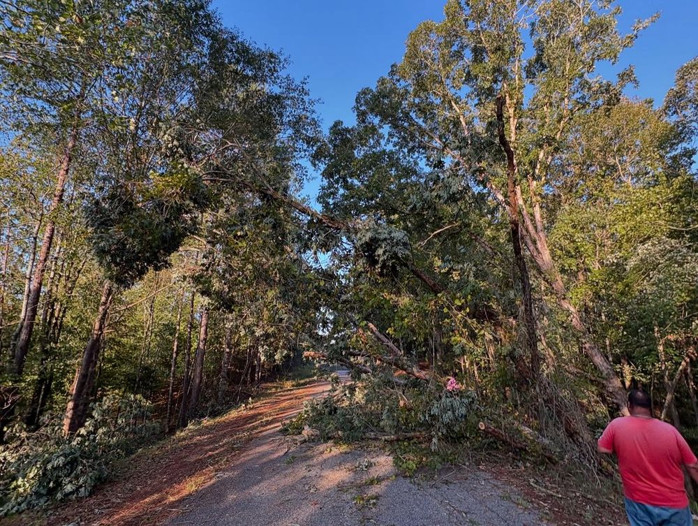All Photos for Longhorn Fence & Land Development in Webster, TX
