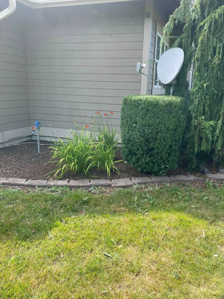 All Photos for B.U Landscaping in Everett, WA