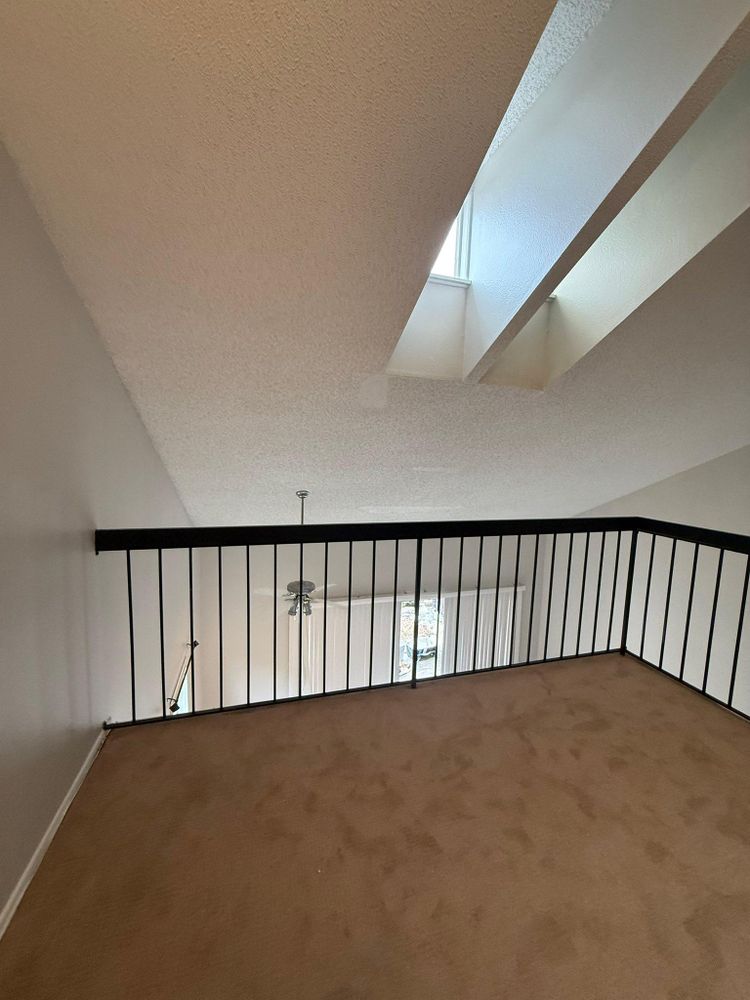 All Photos for Escorpio Painting in Tampa, FL