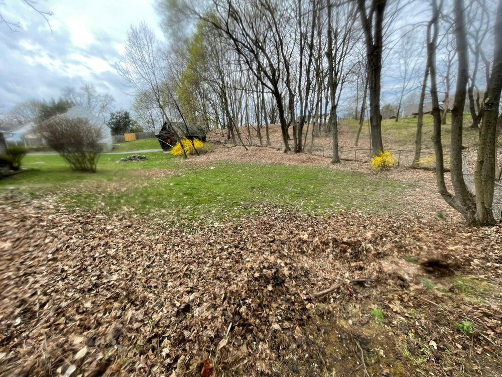 All Photos for Ardisi Property Maintenance LLC in Poughkeepsie, NY 