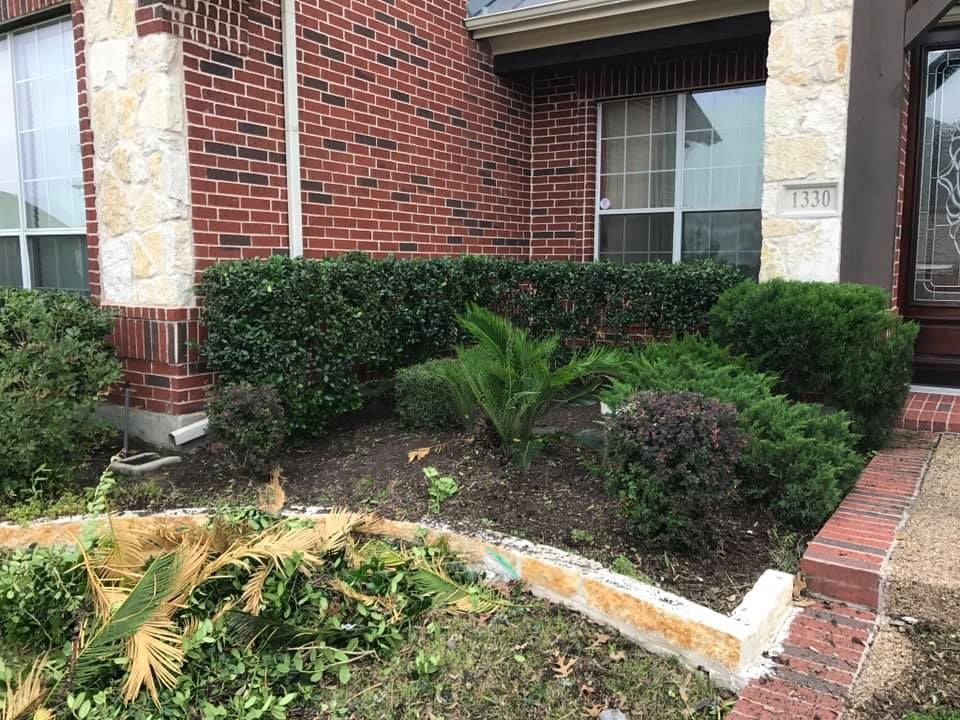 Lawn Care for Tree Valley Landscaping in Dallas, TX