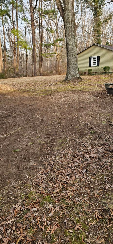 All Photos for Hamlett Tree Service LLC in Clover, VA