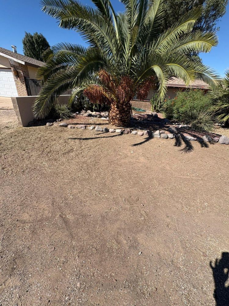 All Photos for Top Notch Landscape Services LLC in Mohave Valley, AZ
