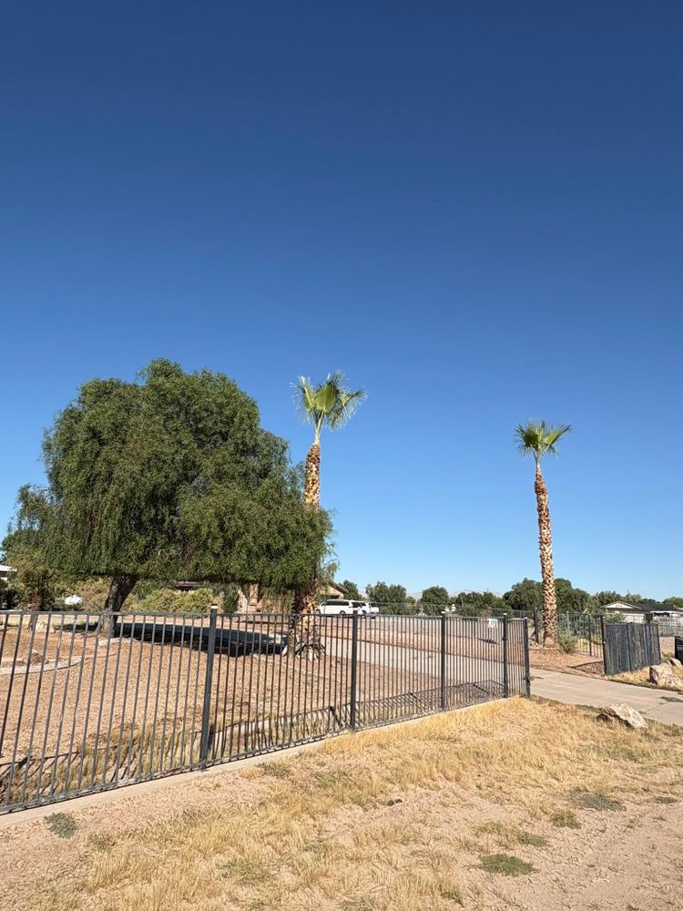 All Photos for Top Notch Landscape Services in Mohave Valley, AZ