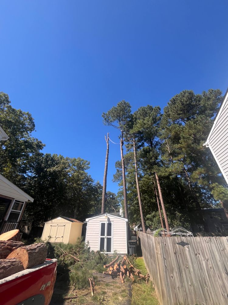 Tree Removal for Ricky's Tree Service & Property Care in Orange, VA