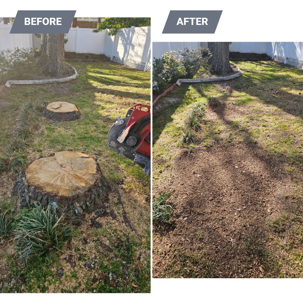 All Photos for Anchor & Grind Stump in Chesapeake, VA