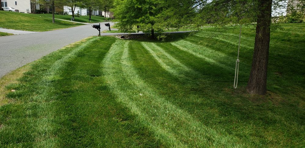 Grass Mowing for Sam I AM Property Solutions in Sunderland, MD