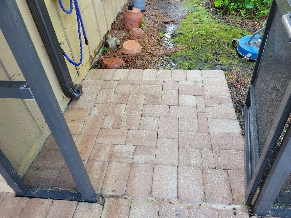 All Photos for L & J Palm Tree & Lawn Care Services in Jupiter, FL