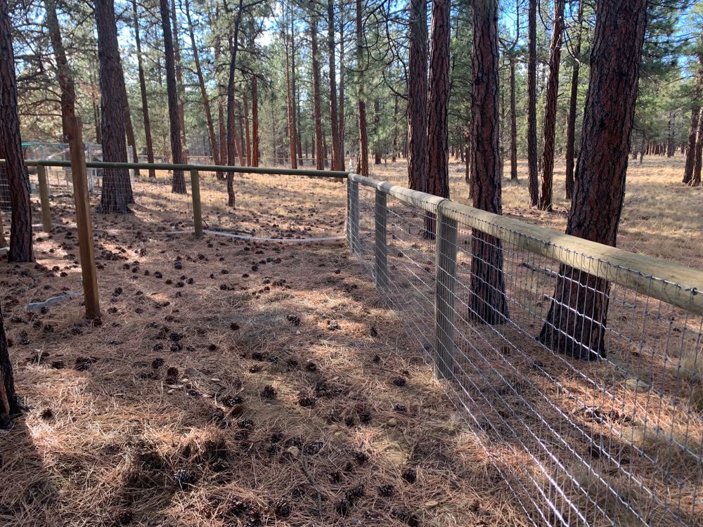 Farm and Ranch Fencing for All ‘Round Boys in Prineville, OR