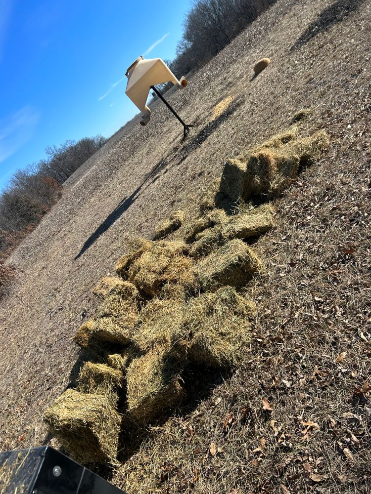 All Photos for Two Young Bucks in Leon, IA