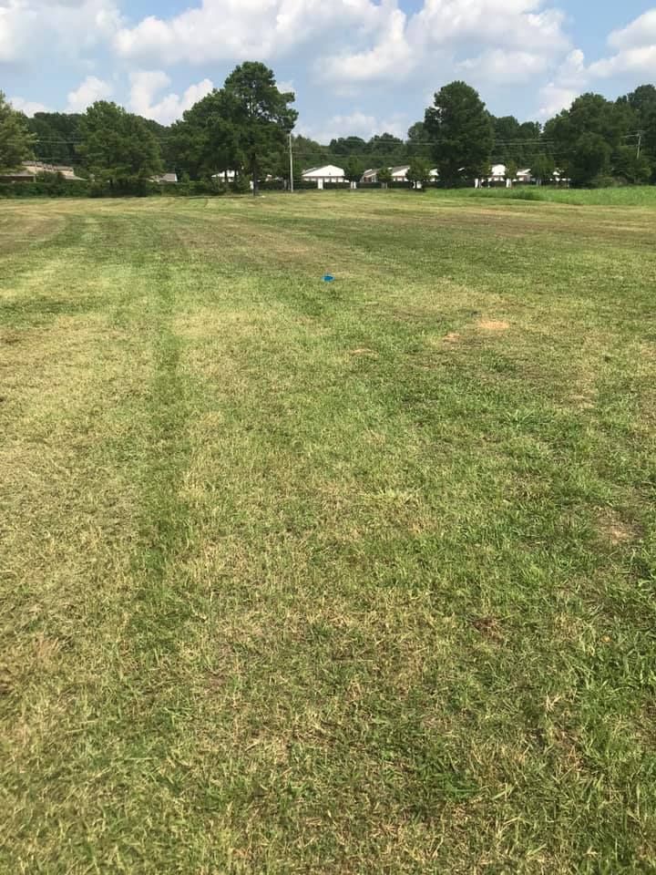 All Photos for Kingdom Landscaping in Memphis, TN