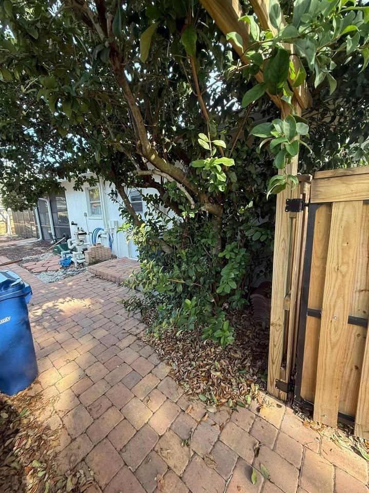 All Photos for Damian’s Tree Care in Sarasota, FL