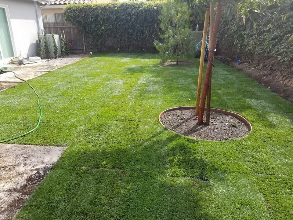 Lawn Aeration for Sierra Landscape in Tustin, CA