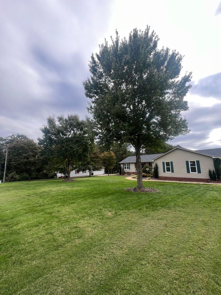 All Photos for Brooks Tree Service, LLC in Casar, NC