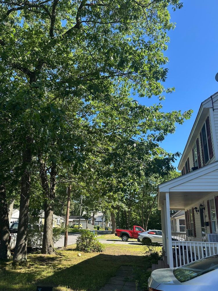 All Photos for Leaf and Limb in Townsend, MA