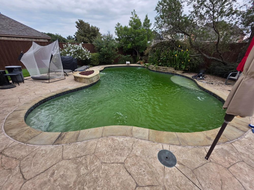 All Photos for Fox Ridge Pools in Richardson, TX