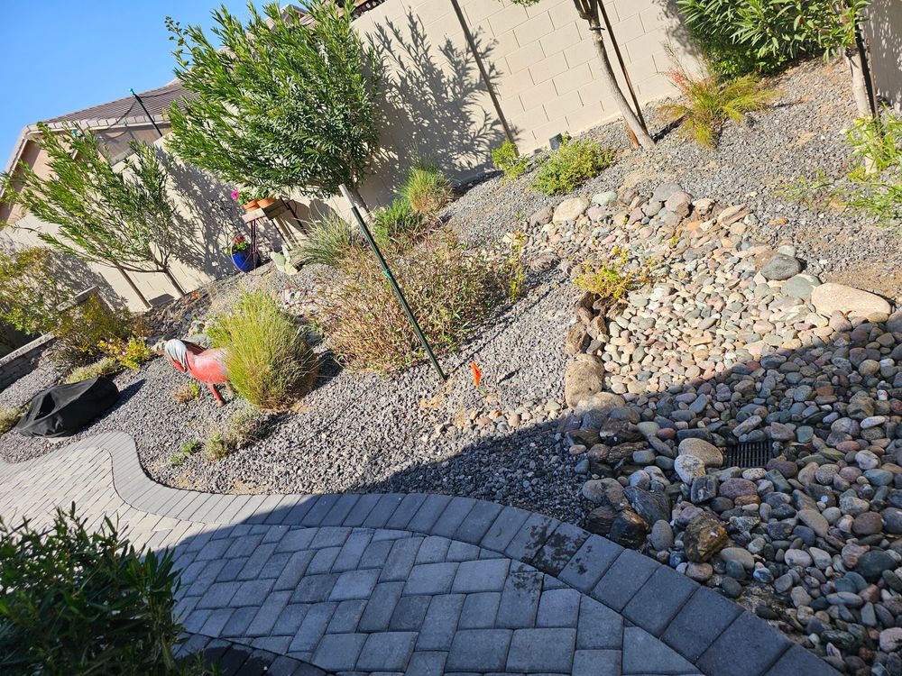 Shrub triming for Sharp Image LLC Landscaping & Hardscape in Phoenix, AZ