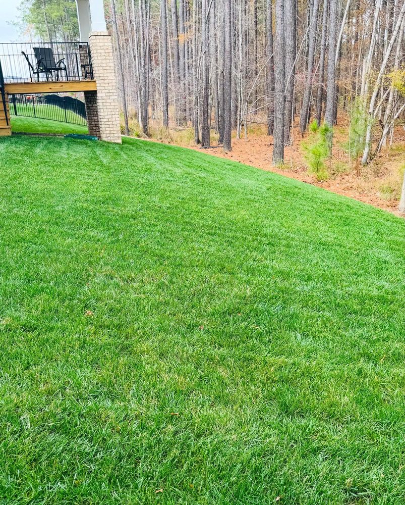 All Photos for Archer's Grounds Maintenance in Chesterfield, VA